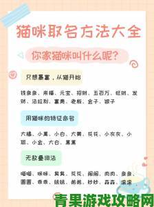 重要|猫咪www最新地域网名如何取才不被举报？揭秘安全取名技巧与注意事项