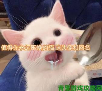 官方出手整治猫咪最新永久地域网名是什么涉黄链接曝光