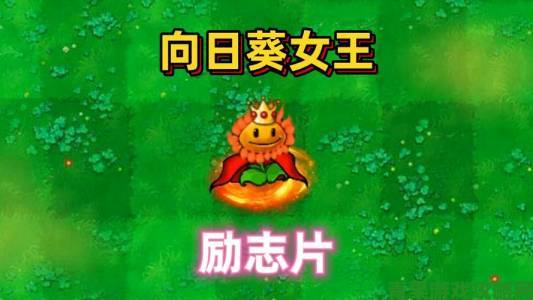 据悉|向日葵视频变现全攻略教你通过原创内容实现稳定收益增长