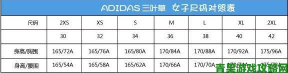 深度解析三叶草m码和欧洲码区别实际测量数据告诉你真相