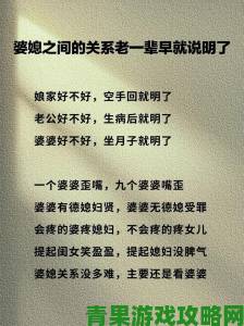 两个好媳妇中文翻译为何成为婆媳剧爱好者必看内容