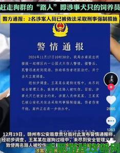 动保组织收到多起实名举报涉及逼迫动物吃主人的大便和痰事件