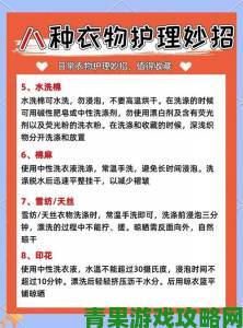 洗衣店的小信：如何选择最适合你的洗衣店服务与省钱技巧大揭秘