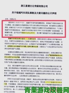 深度追踪91cao用户举报事件平台运营模式合法性存疑