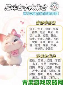 猫咪成人最新地域网名怎么取有讲究最新研究报告披露命名密码