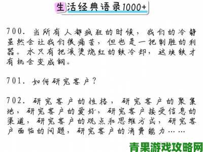 用好大好爽提升生活品质二十年经验总结的进阶指南