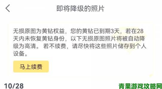 网站黄钻是否值得长期续费？真实案例深度分析