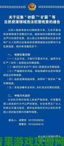 禽交行为频发背后的暗黑产业链全民举报通道及法律惩治要点深度解析