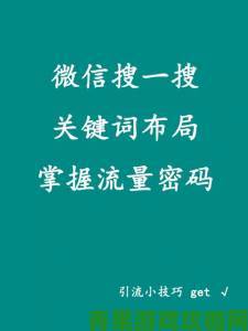 如何通过www.麻豆打造爆款商品的流量密码