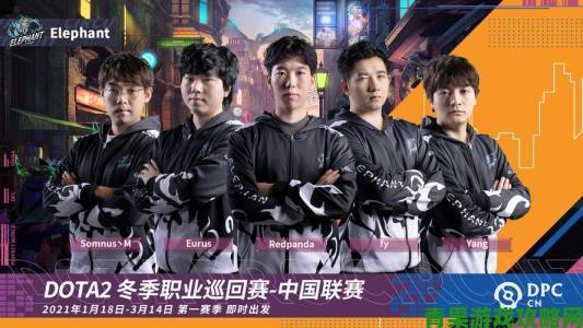 中国《DOTA2》职业杯S2收官，小象战队荣获首冠