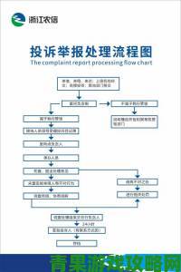 深度剖析freehdbbw举报流程手把手教你高效维权