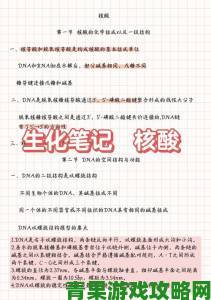 RNA与DNA杂交过程关键技术详解新手也能快速上手的攻略