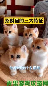 淘宝 6.29 每日一猜答案：这只招财猫有何含义