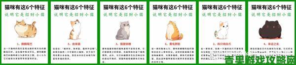 淘宝 6.29 每日一猜答案：这只招财猫有何含义