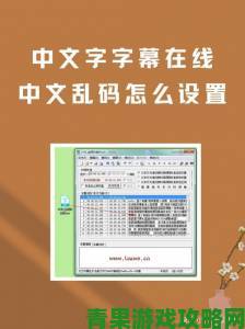 中文字字幕乱码问题根源追踪附赠专业级编码转换工具包