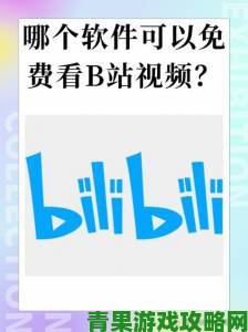 免费B站在线观看人数在哪破解版终极攻略提升人气秘籍