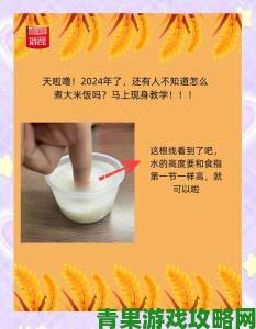 半熟米饭1984实用技巧不同锅具的煮饭时间与水量对照表