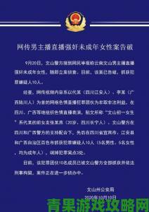 成人网战催生新型网络犯罪警方破获特大案件细节披露