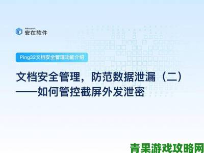 免费网站安全软件大全深度解析如何高效防护网站漏洞