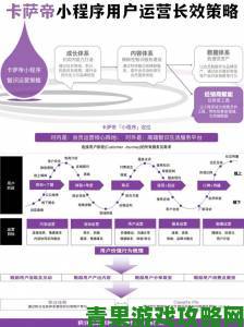 www91网站用户激增背后揭秘平台运营三大核心策略