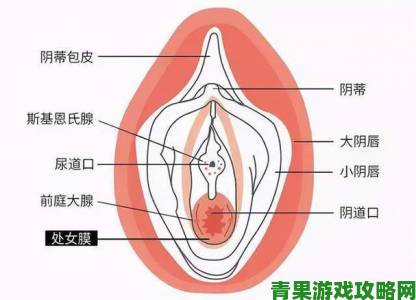 羞羞网真的能满足你的好奇心还是暗藏风险