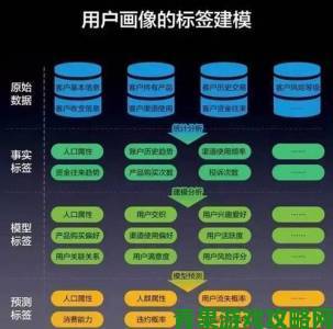 www91网站用户画像曝光揭秘忠实用户的五大特征