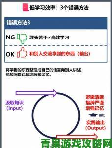 17.C.NOM深度解析如何避开操作误区提升工作效率