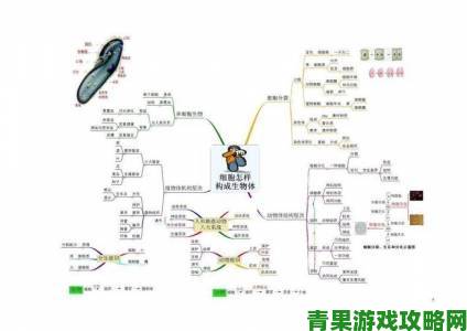 解析|生物老师闵儿用自己给我们讲课的思维可视化攻略：图解复杂概念