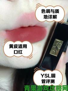 YSL蜜桃色成人网的运营模式是否值得其他平台借鉴