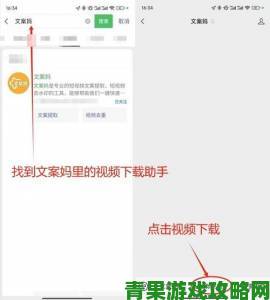 如何正确下载安装9.1免费版唯一版本？详细步骤解析