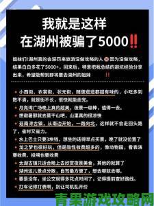 新手|从下节目事件学到经验追剧达人总结避坑与补救全方案